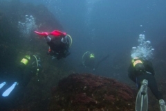 Açor-Diving-3