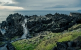 Pico