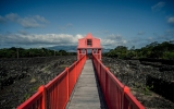 Pico
