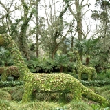 David Ligeiro-Furnas