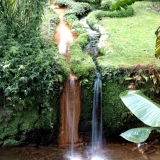 David Ligeiro-Furnas