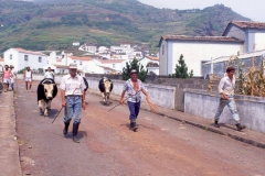 Lavradores levando o gado para o embarque