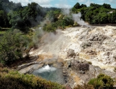 Furnas-63