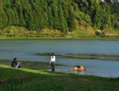 Furnas-79