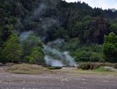 Furnas-84