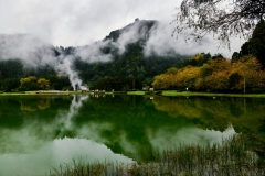 Furnas-16