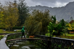 Furnas-25