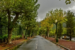 Furnas-26