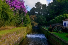 Furnas-39