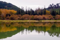 Furnas-69