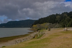 Furnas-77-1