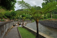 Furnas-77