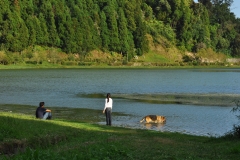 Furnas-79