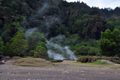Furnas-84