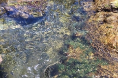 Geometria da água