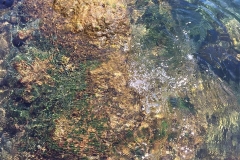 Geometria da água