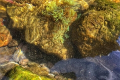 Geometria da água