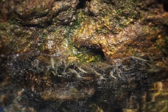 Geometria da água
