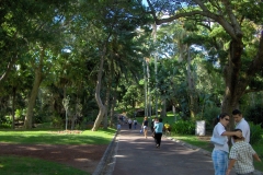 Jardim António Borges