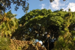 Jardim António Borges