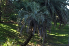 Jardim António Borges