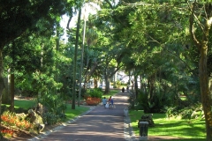 Jardim António Borges