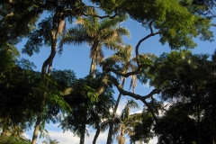 Jardim António Borges