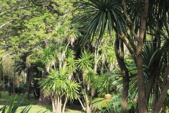 Jardim-do-Palácio-de-SantAna-5