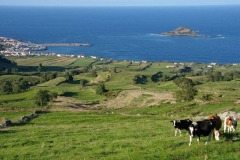 Graciosa