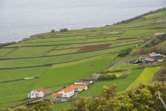 Graciosa