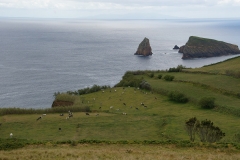 Graciosa