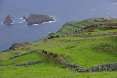 Graciosa