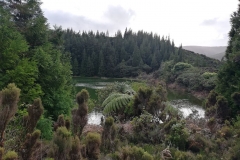 Lagoa-do-Areeiro-02