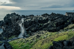 Madalena-1
