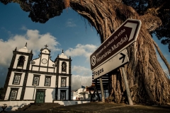 Madalena-2