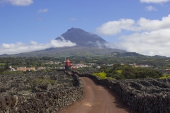 Madalena-6