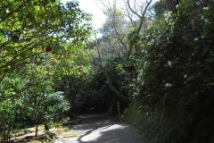 Mata-Jardim-02