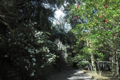 Mata-Jardim-03