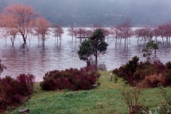 Mata-Jardim-06