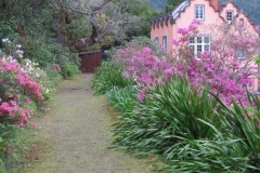 Mata-Jardim-08
