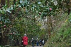 Mata-Jardim-09