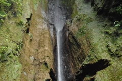 Mata-Jardim-12
