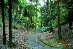 Mata-Jardim-13