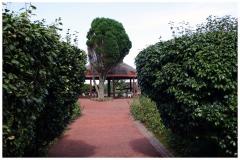 Ponta-da-Madrugada1