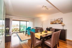mountain-view-apartment-1