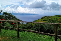 Ilha do Faial