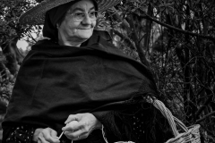 Chá Gorreana