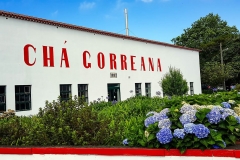 Chá Gorreana