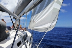 Sailzen-6