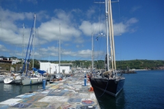 Sailzen-9